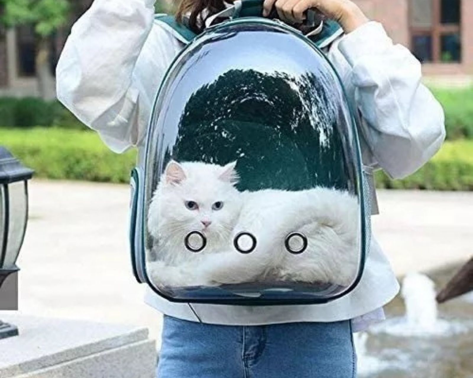 Foto 3 | Mochila Portátil Transportadora de Mascotas Genérico