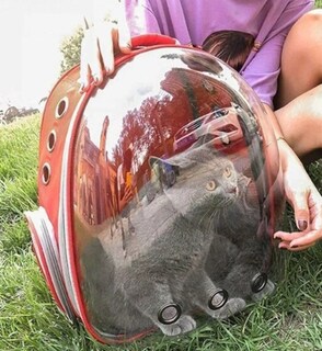 Foto 3 | Mochila Transportadora Portátil Roja para Mascotas