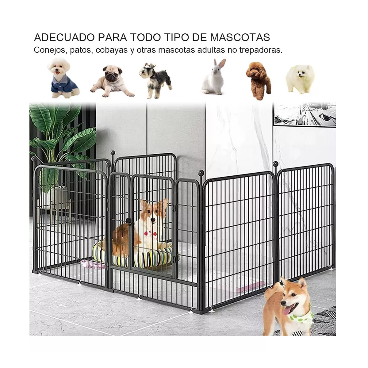 Foto 4 pulgar | Corral Para Perros Armable Varias Mascotas 6 Paneles Eo Safe Imports Esi-14504 Negro