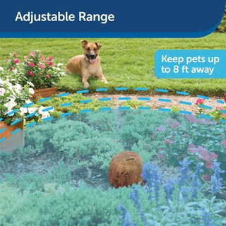 Foto 7 | Barrera Petsafe Para Exteriores: Expandible, Resistente Al A - Venta Internacional.