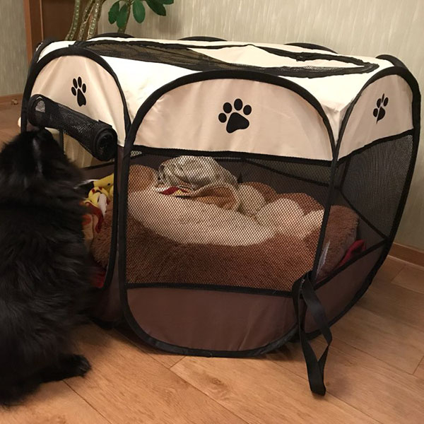 Foto 4 pulgar | Carpa Plegable Portátil Para Mascotas, Casa De Campaña Para Perros Y Gatos - Venta Internacional.
