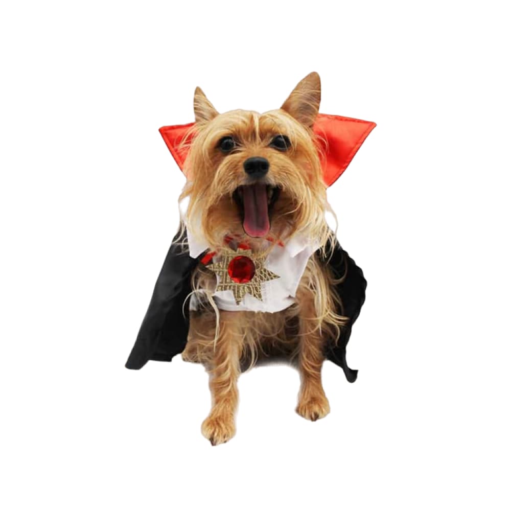 Disfraz para Perro Pet Pals Vamperry Halloween $439