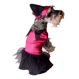 Foto 2 | Disfraz para Perro Pet Pals Bruja Multicolor
