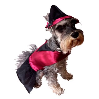 Foto 1 | Disfraz para Perro Pet Pals Bruja Multicolor