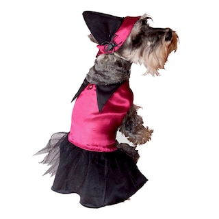 Foto 2 | Disfraz para Perro Pet Pals Bruja Multicolor