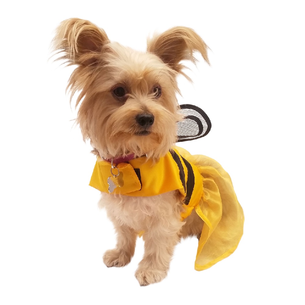 Disfraz de Abeja Halloween Pet Pals para Mascota