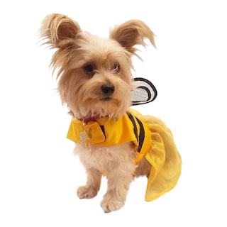 Foto 1 | Disfraz de Abeja Halloween Pet Pals para Mascota