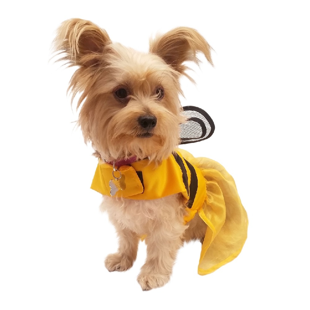 Disfraz de Abeja Halloween Pet Pals para Mascota $439