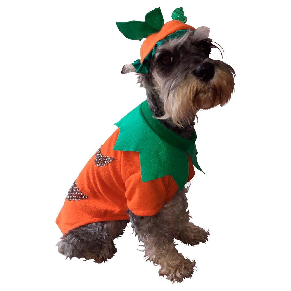 Disfraz de Calabaza para Mascota Pet Pals Naranja $449