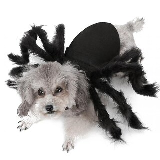 Foto 3 | Disfraz De Perro, Cachorro De Araña, Ropa De Halloween Para Mascotas (m) - Venta Internacional.