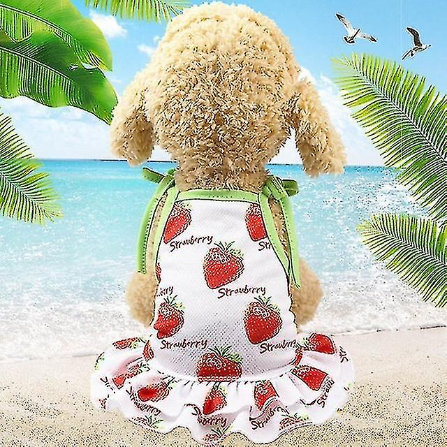 Foto 2 pulgar | Conjunto De Camiseta Y Falda Con Estampado De Frutas Para Perros Y Gatos - Venta Internacional.