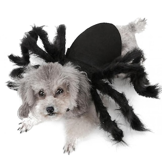 Foto 3 | Disfraz De Perro Huoguo Disfraz De Cachorro De Araña Para Perro Mediano - Venta Internacional.
