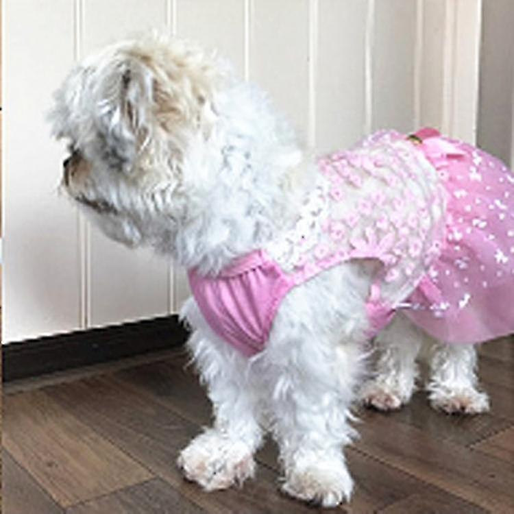 Foto 1 | Disfraz De Mascota Con Forma De Jaula De Pájaros Y Baños De Pájaros Ab060, Precioso Vestido De Gato, - Venta Inter