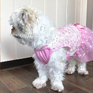 Foto 1 | Disfraz De Mascota Con Forma De Jaula De Pájaros Y Baños De Pájaros Ab060, Precioso Vestido De Gato, - Venta Inter