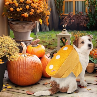 Foto 3 | Disfraz De Mascota Rubie's Hostess Twinkie Para Mascotas Pequeñas Y Medianas - Venta Internacional.