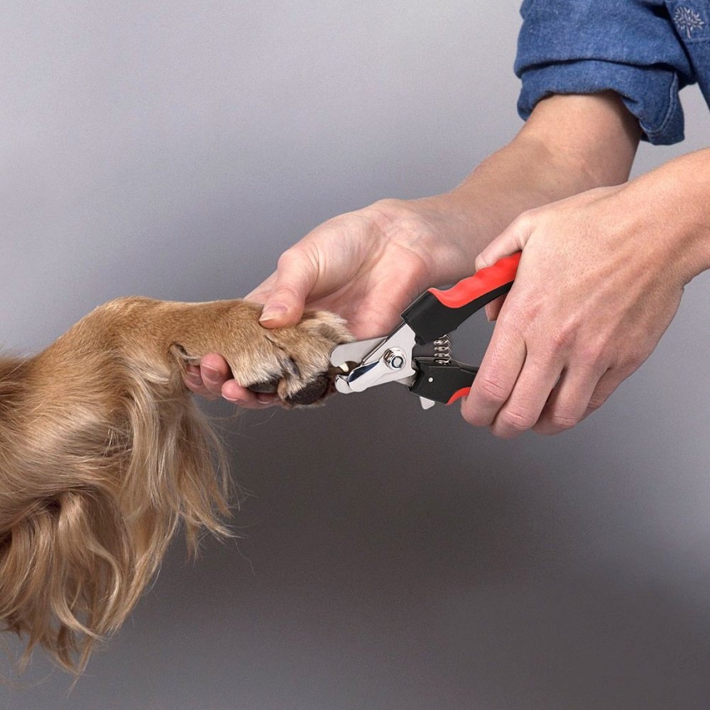 Foto 3 | Cortauñas Wolfi para Perro y Lima de Uñas color Rojo