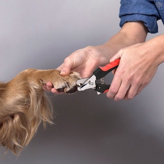 Foto 3 | Cortauñas Wolfi para Perro y Lima de Uñas color Rojo