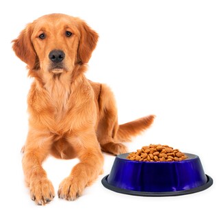 Foto 3 | Plato Para Perro Tazón Grande Azul Aluminio Antiderrapante