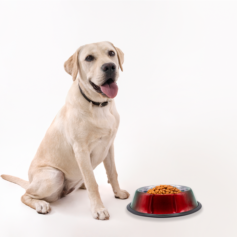 Foto 3 | Plato Para Perro Tazón Mediano Rojo Aluminio Antiderrapante