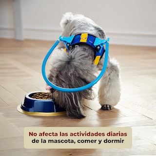 Foto 4 | Arnés Protector para Perros Ciegos Anticolisión Talla Xxs