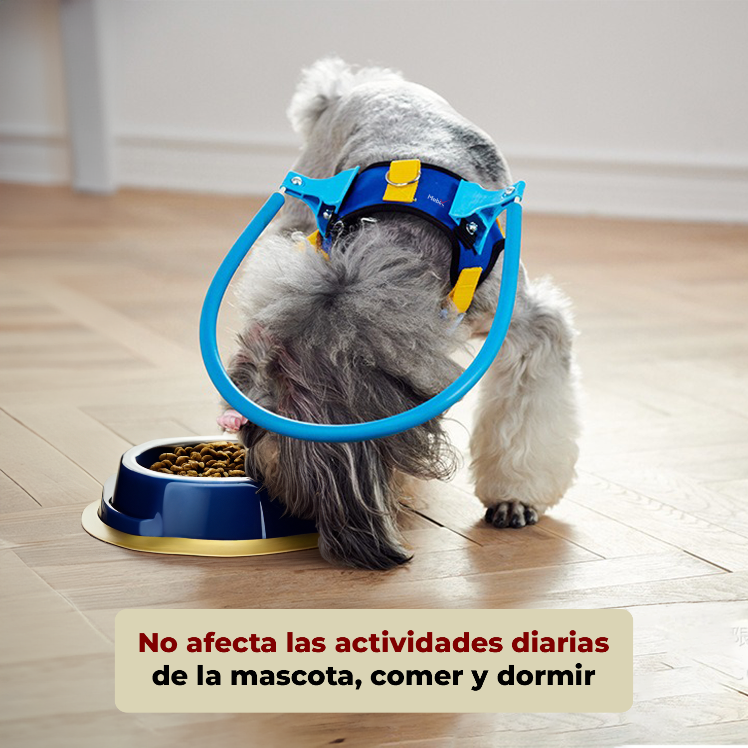 Foto 5 pulgar | Arnés Protector Para Perros Ciegos Anticolisión Talla S