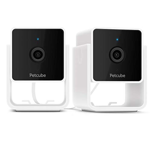 Foto 2 pulgar | Pack De 2 Cámaras Petcube Para Interiores, Wi-fi, Para Mascotas Y Cámaras De Seguridad - Venta Internacional.