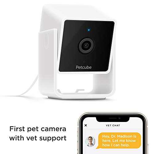 Foto 5 pulgar | Pack De 2 Cámaras Petcube Para Interiores, Wi-fi, Para Mascotas Y Cámaras De Seguridad - Venta Internacional.