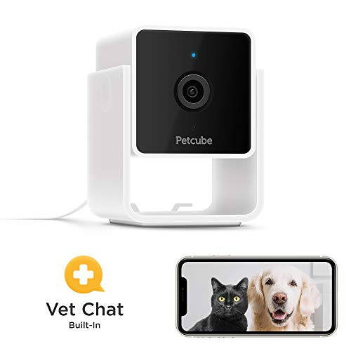 Foto 6 pulgar | Pack De 2 Cámaras Petcube Para Interiores, Wi-fi, Para Mascotas Y Cámaras De Seguridad - Venta Internacional.