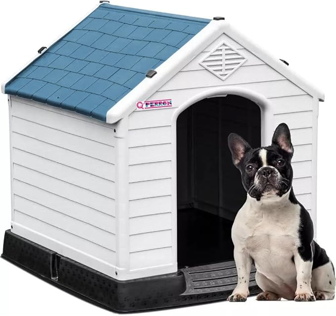 Casa Chica Q Perron Para Raza Chica Alta Calidad Y Durabilidad