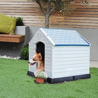 Foto 7 | Casa Chica Q Perron Para Raza Chica Alta Calidad Y Durabilidad