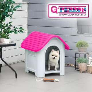 Foto 3 | Casa Q Perron Con Piso Elevado Para Raza Chica