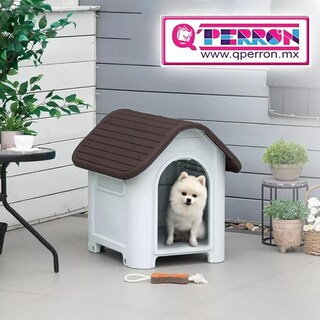 Foto 3 | Casa Chica Qperron Para Raza Chica Piso Eleavdo