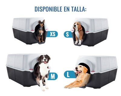 Foto 3 | Casa De Perro Dion G