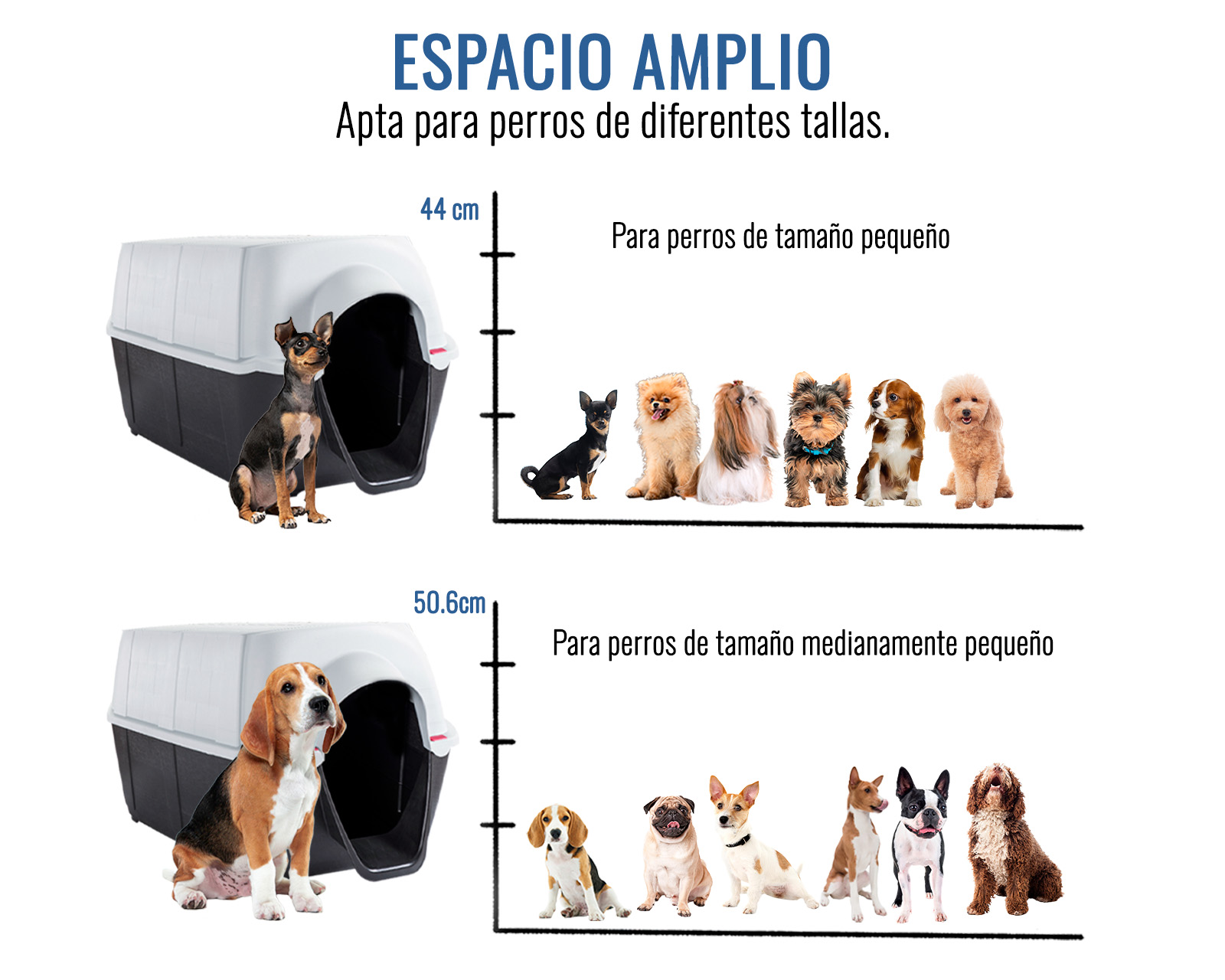 Foto 4 | Casa De Perro Dion G