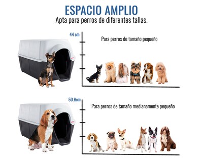 Foto 4 | Casa De Perro Dion G