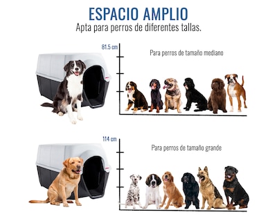 Foto 5 | Casa De Perro Dion G