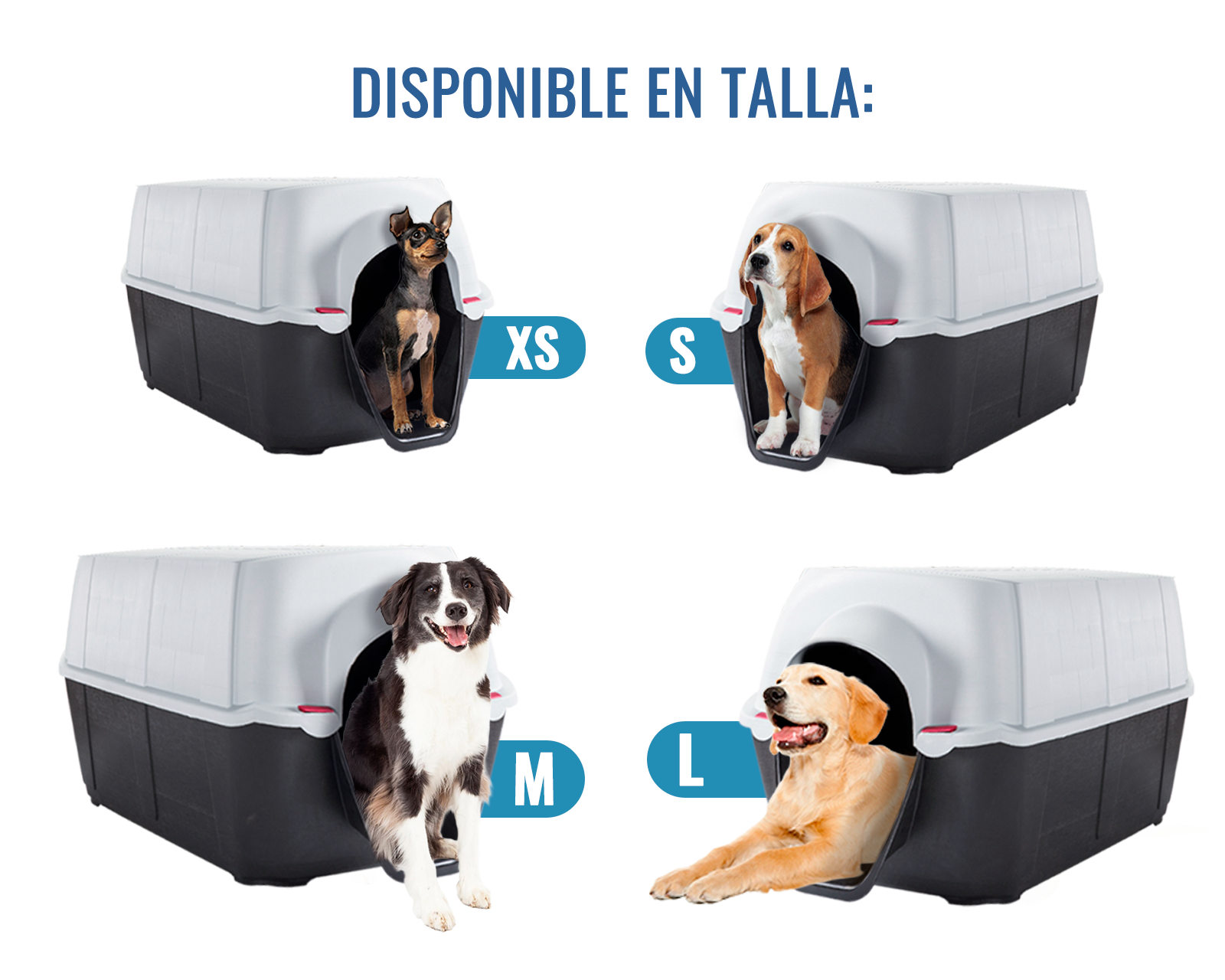Foto 4 pulgar | Casa De Perro Dion Xch