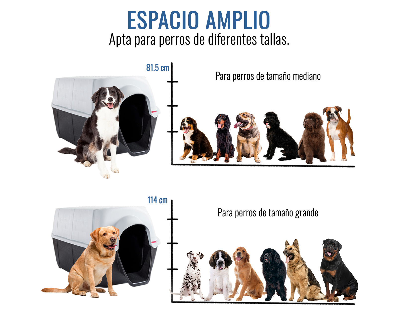 Foto 5 | Casa De Perro Dion Xch