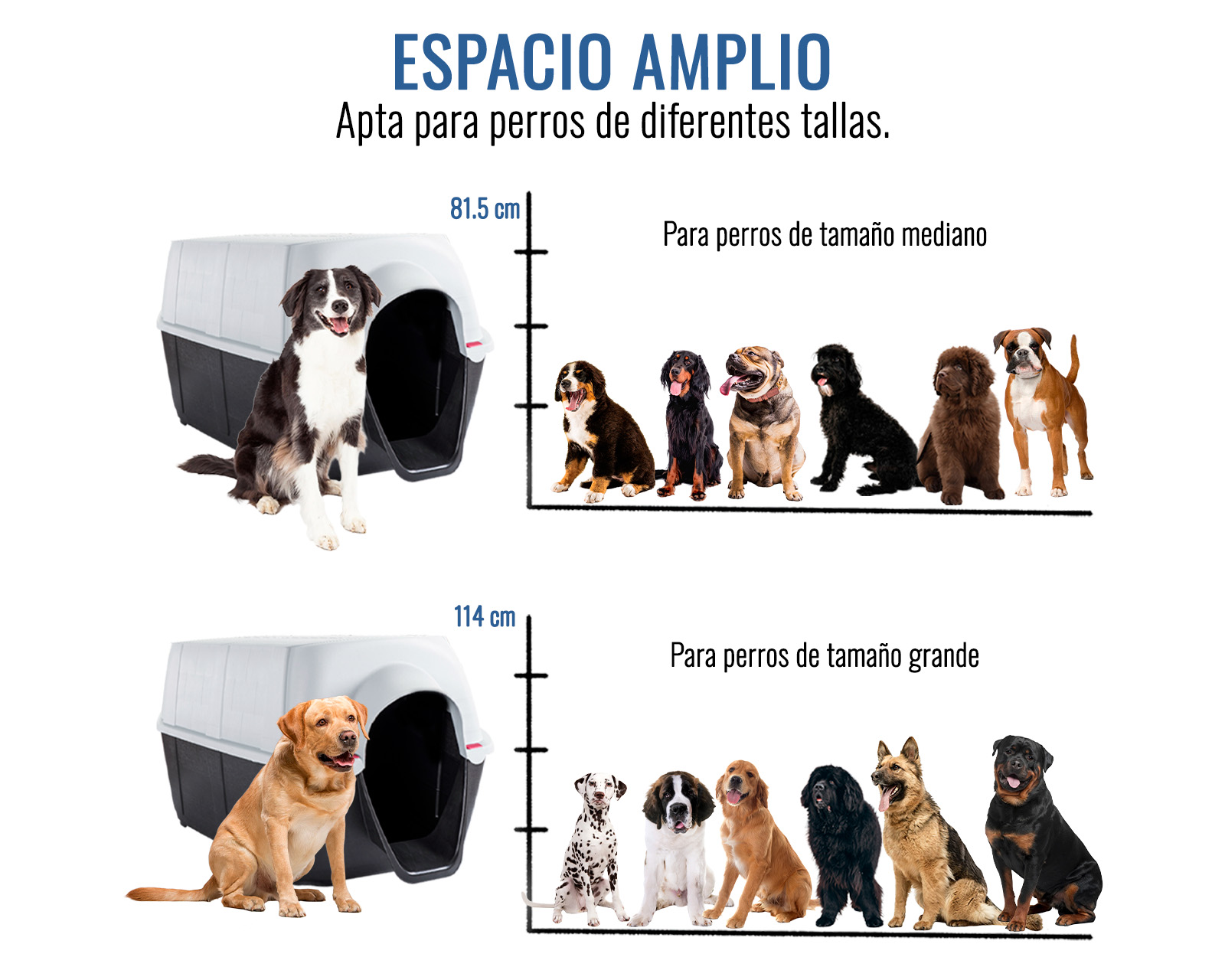 Foto 5 | Casa De Perro Dion M