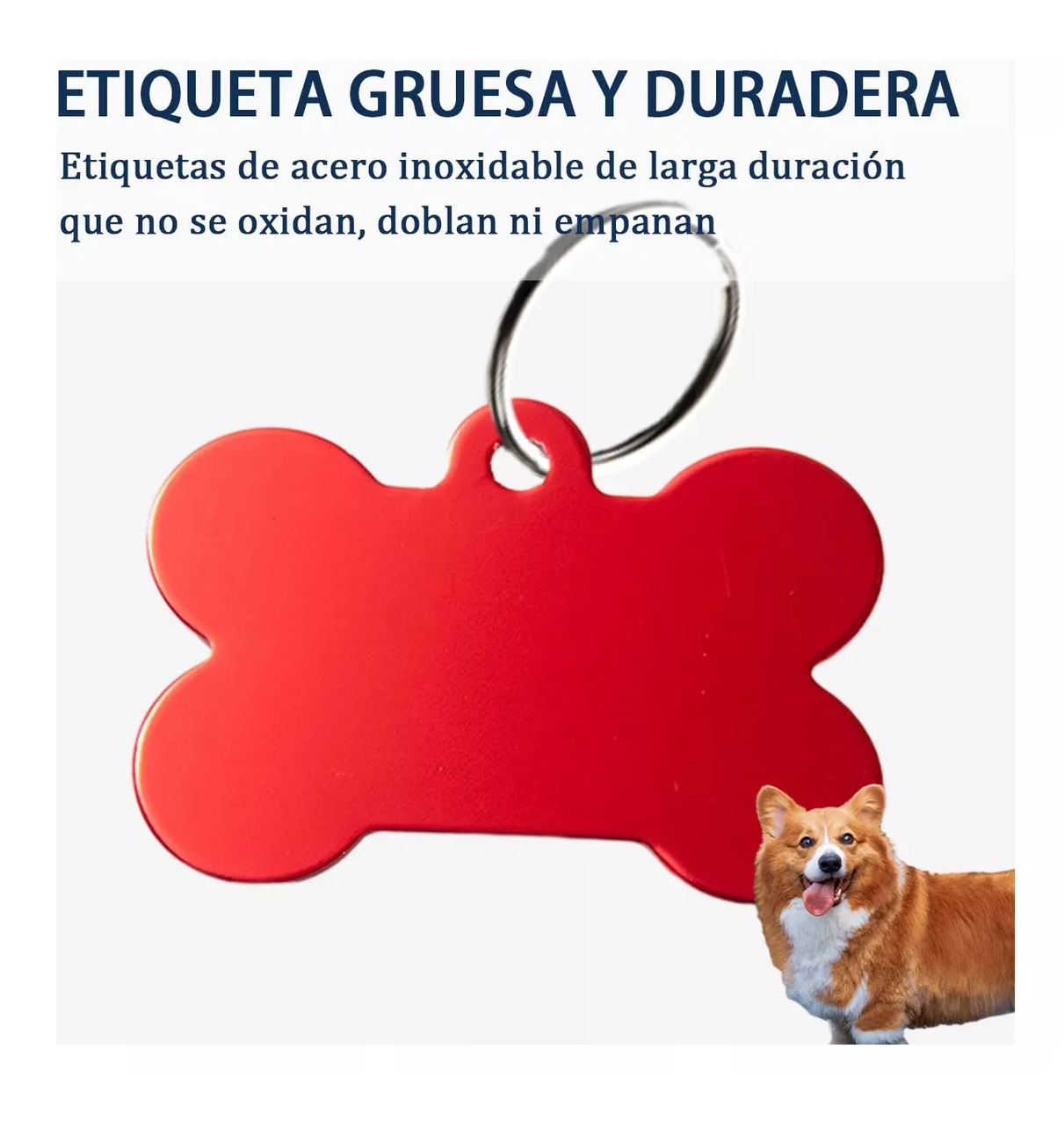 Foto 3 pulgar | Etiquetas Identificación Para Perro, 20 Pcs Colores Mixtos