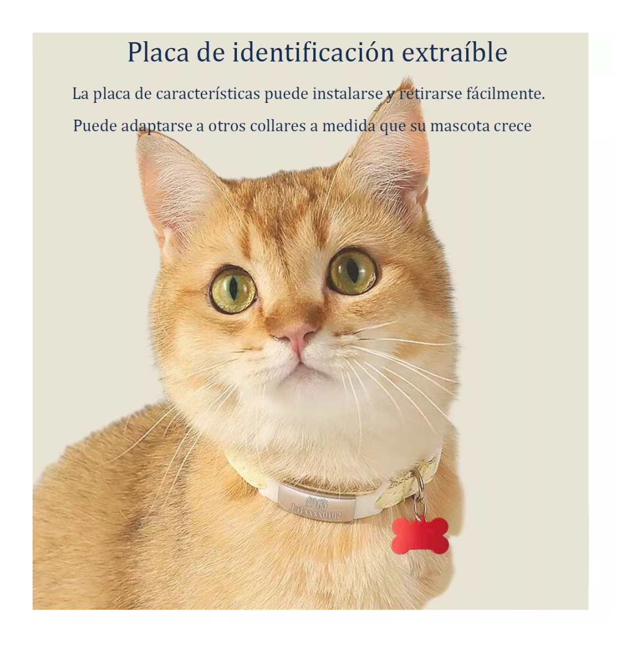 Foto 4 pulgar | Etiquetas Identificación Para Perro, 20 Pcs Colores Mixtos