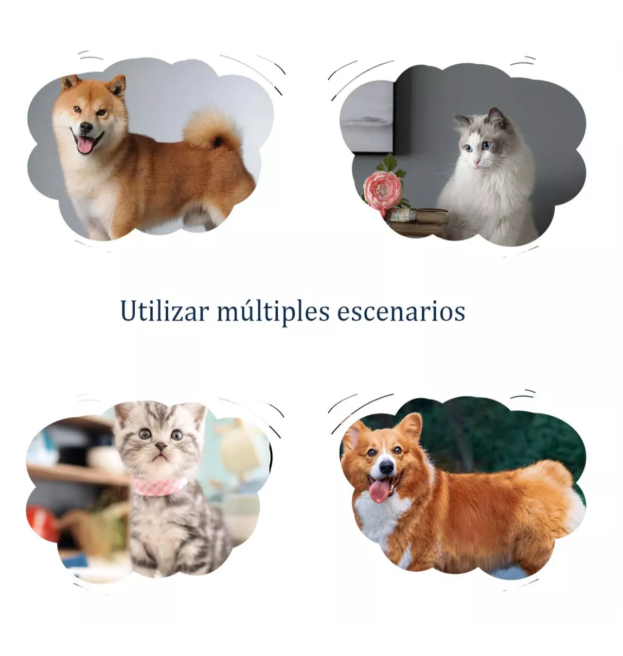 Foto 5 pulgar | Etiquetas Identificación Para Perro, 20 Pcs Colores Mixtos