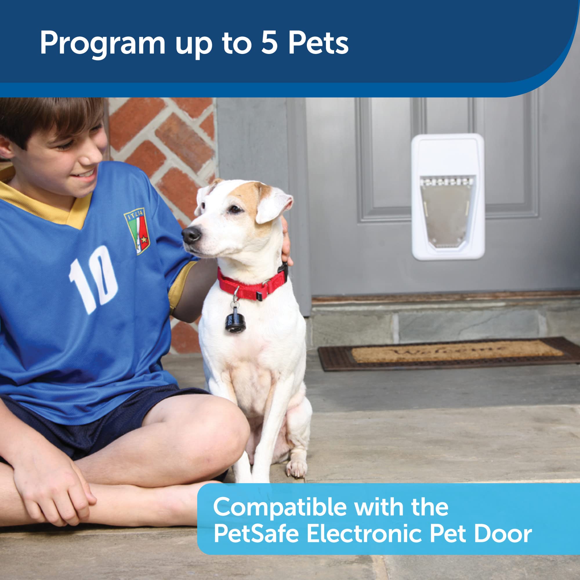 Foto 5 pulgar | Smartkey Para Puerta Inteligente Electrónica Petsafe Para Perros Y Gatos - Venta Internacional.