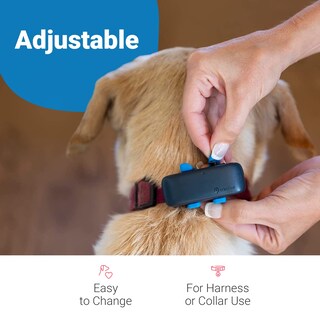 Foto 3 | Clips De Fijación Tractive Gps Dog Tracker De Goma (paquete De 3) - Venta Internacional.