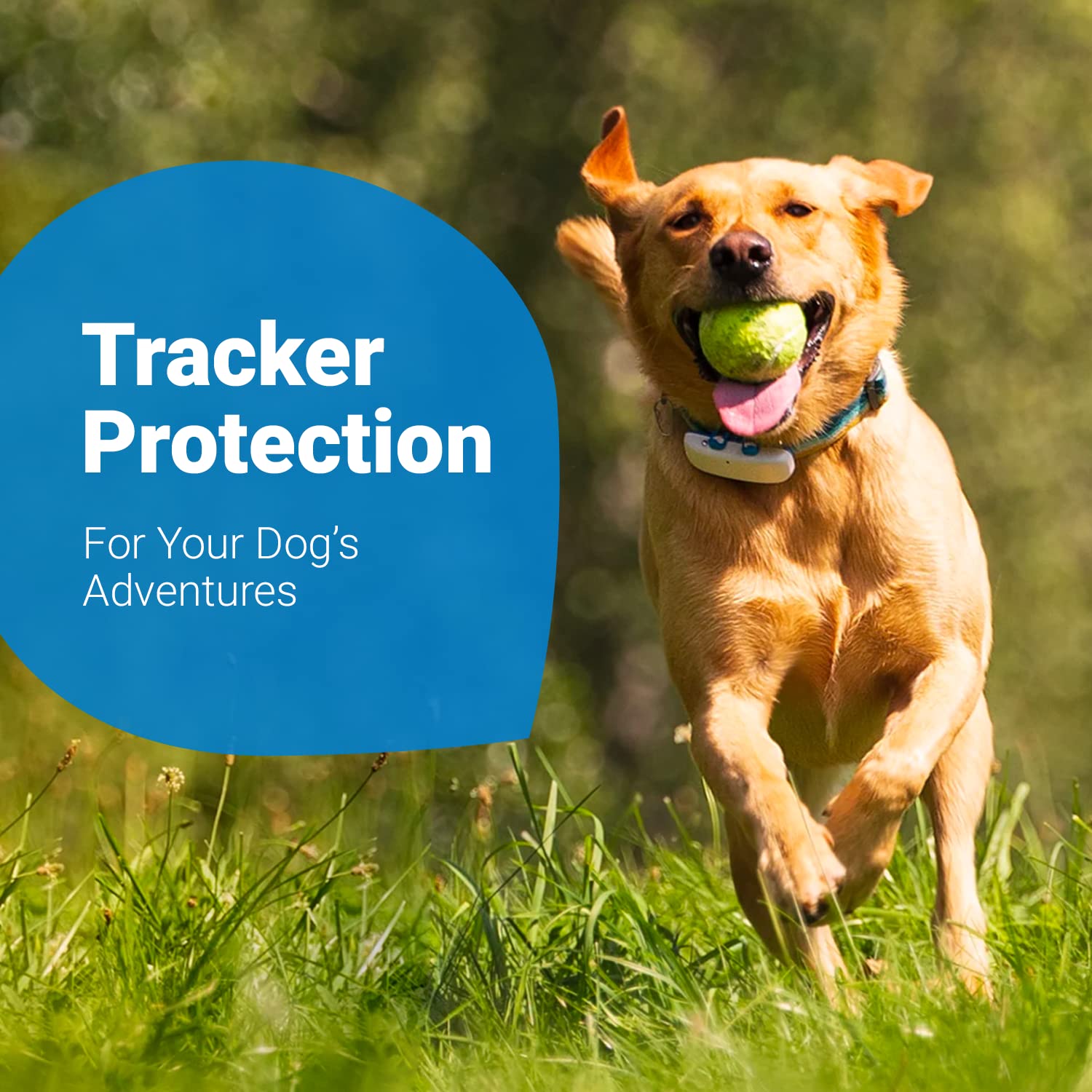 Foto 5 | Clips De Fijación Tractive Gps Dog Tracker De Goma (paquete De 3) - Venta Internacional.
