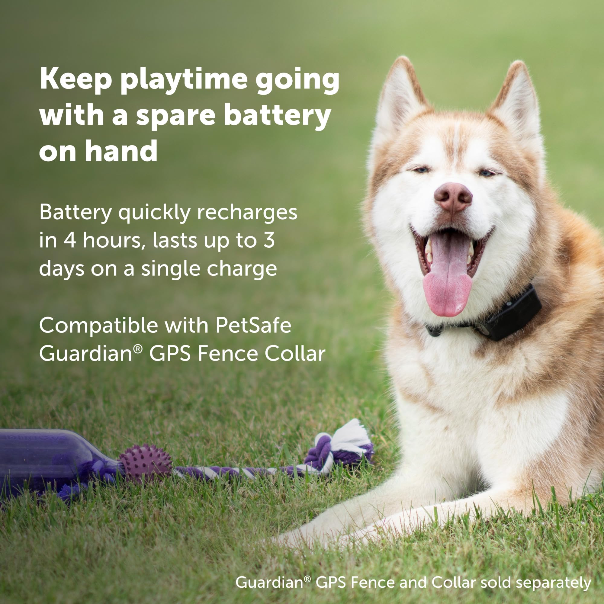 Foto 3 | Batería Petsafe Guardian Gps Para Vallas, Iones De Litio, 1900 Mah - Venta Internacional.