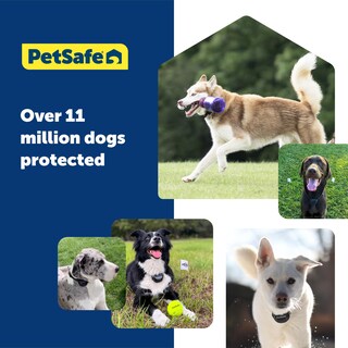 Foto 6 | Batería Petsafe Guardian Gps Para Vallas, Iones De Litio, 1900 Mah - Venta Internacional.