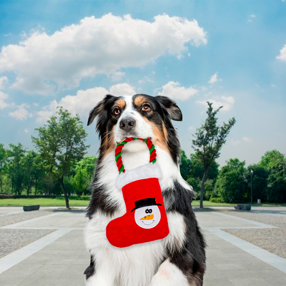 Foto 4 pulgar | Juguete para Mascotas de Figura Navideñas Multicolor de Tela Suave Relleno Delcron