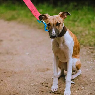 Foto 3 | Correa para Perro Retro Grande Poliéster Pvc Boche Plástico color Rosa
