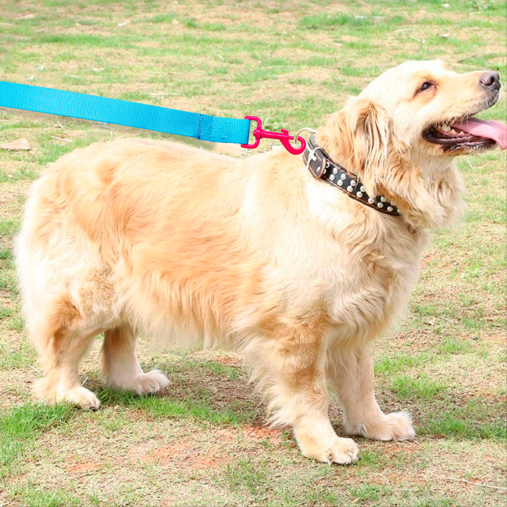 Foto 3 | Correa para Perro Retro color Azul con Gancho Neón Rosa Grande de Poliéster Pvc y Boche Plástico